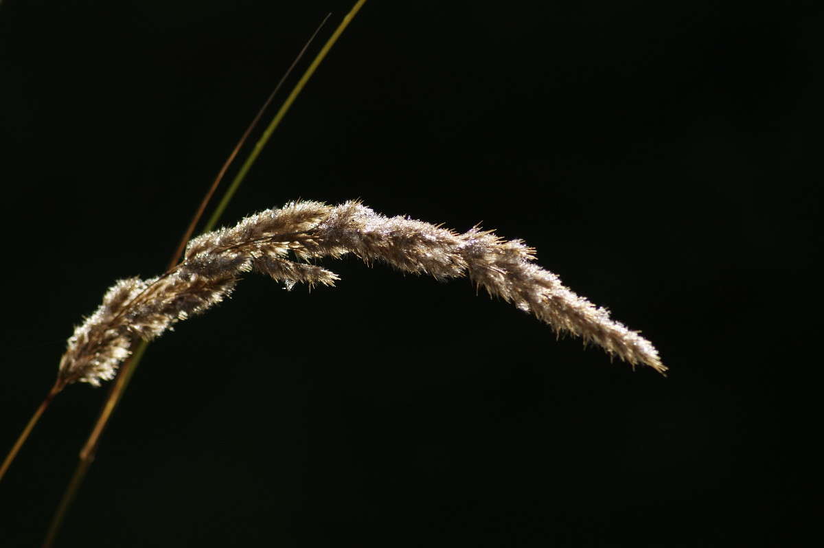 ... ����� ElenaBuligina  �� PhotoGeek.ru #������ ��� �������