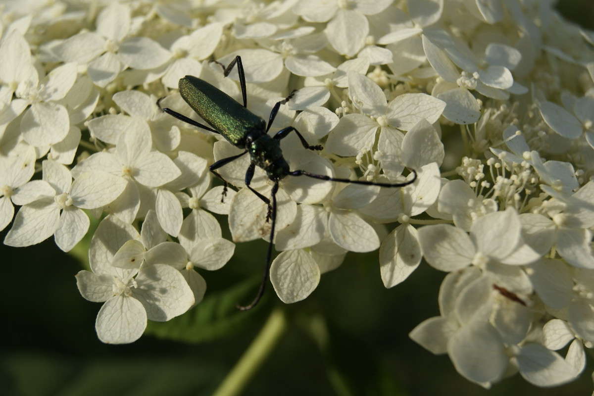 ... ����� ElenaBuligina  �� PhotoGeek.ru #�����