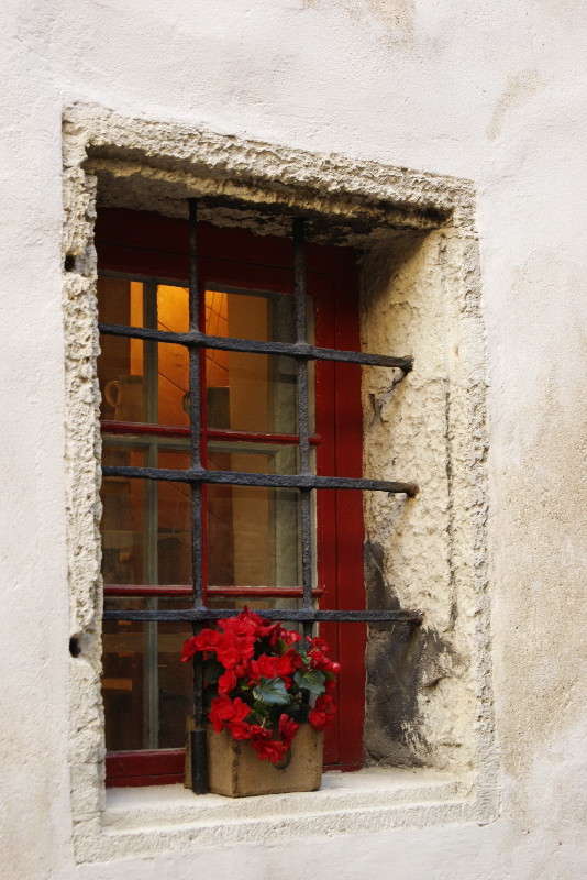 ... ����� ElenaBuligina  �� PhotoGeek.ru #��������� #���������������