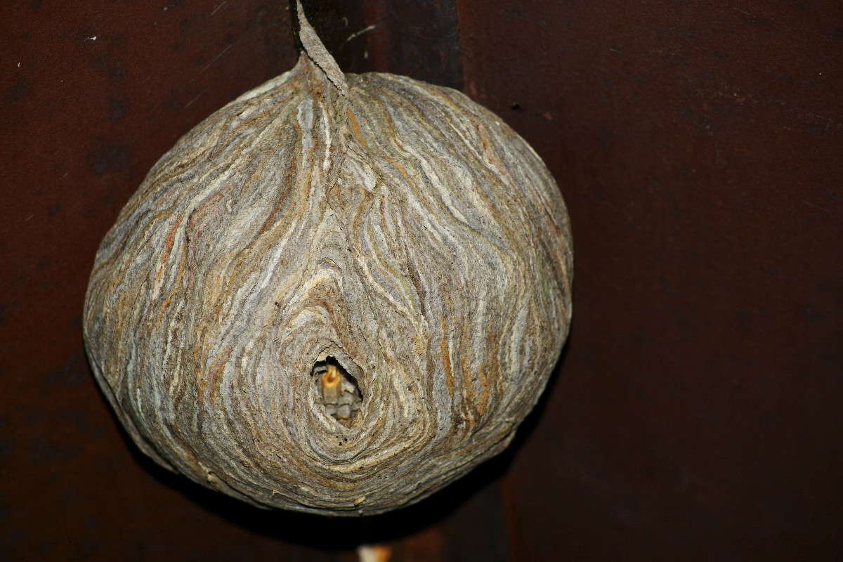 ���,������� �������� ���� ����� ElenaBuligina  �� PhotoGeek.ru #������ ��� �������