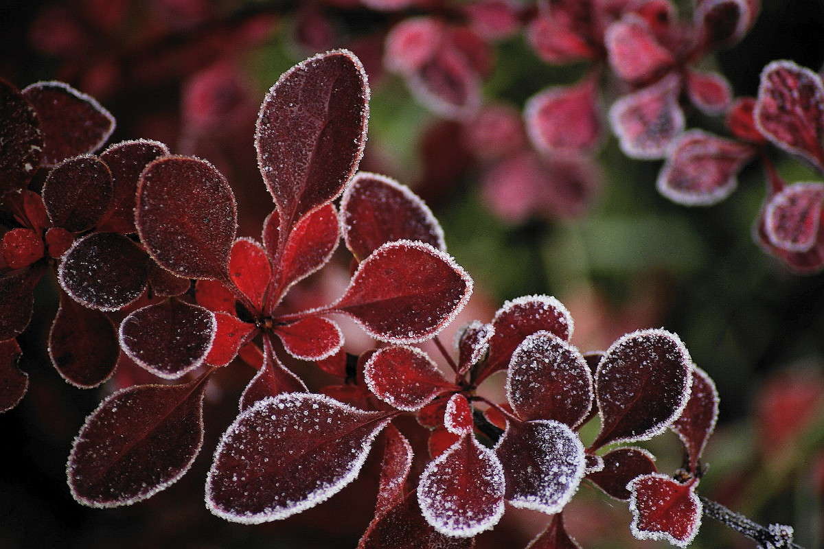 ... ����� ElenaBuligina  �� PhotoGeek.ru #�����