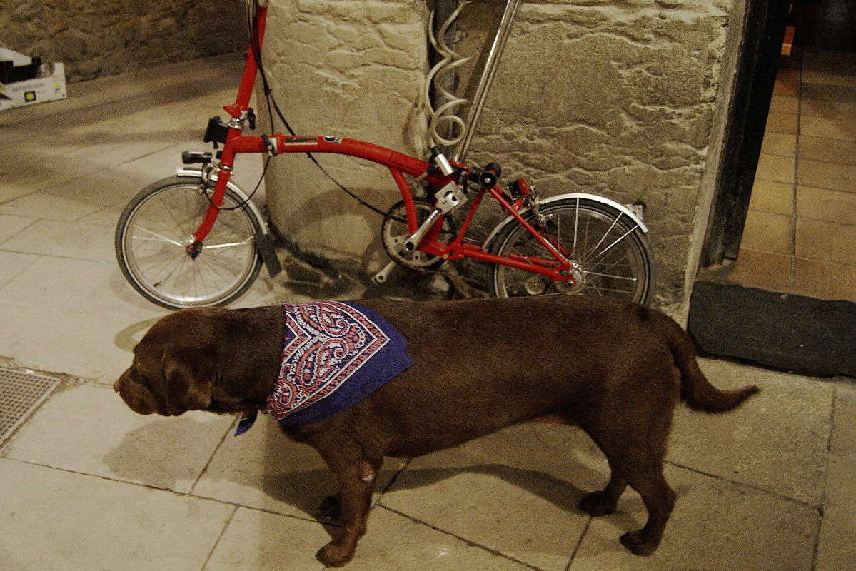 �� �������-�� �������������! ����� ElenaBuligina  �� PhotoGeek.ru #�������� ���