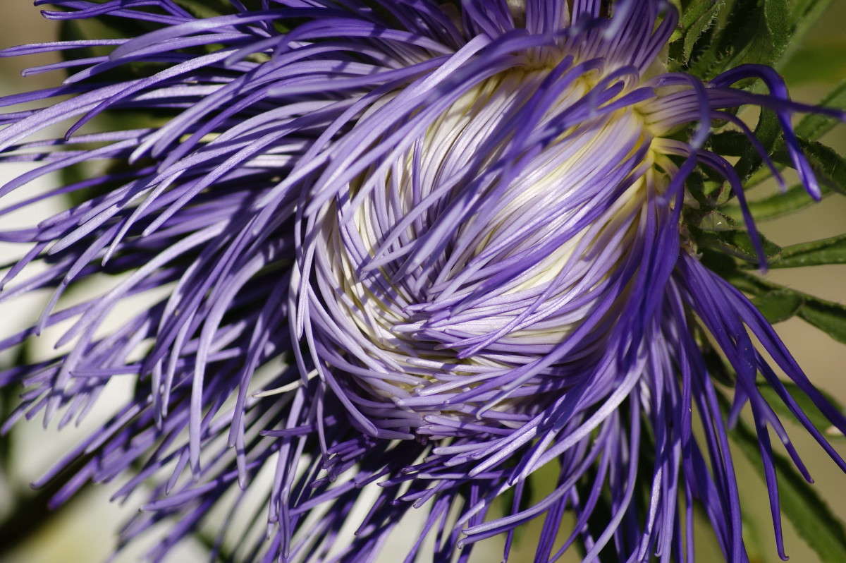 ... ����� ElenaBuligina  �� PhotoGeek.ru #����� #������ ��� �������