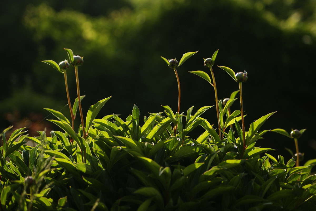 ... ����� ElenaBuligina  �� PhotoGeek.ru #������ ��� �������