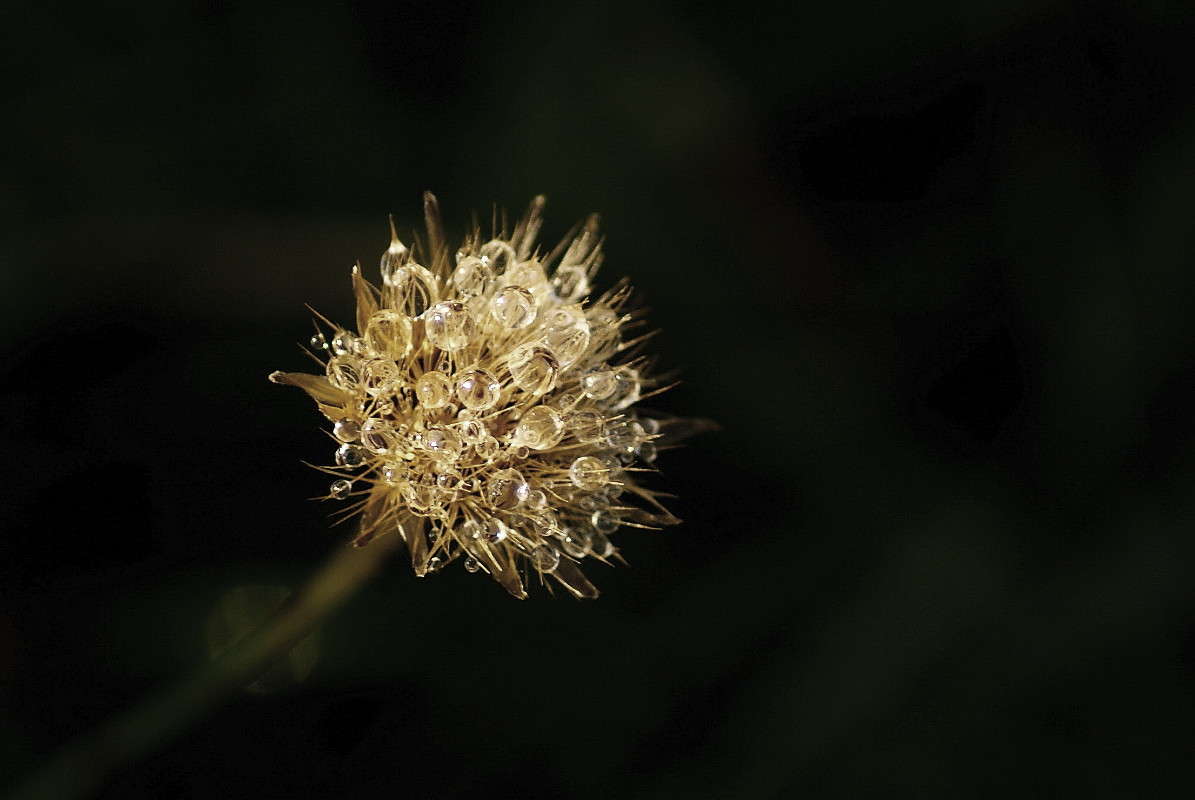 ... ����� ElenaBuligina  �� PhotoGeek.ru #�����