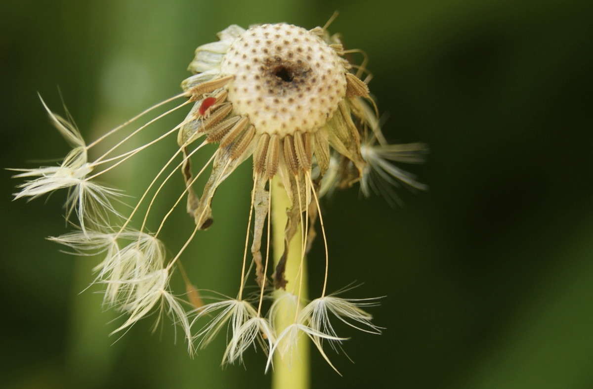 ��� ������� ����� ElenaBuligina  �� PhotoGeek.ru #�����