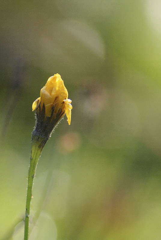 ... ����� ElenaBuligina  �� PhotoGeek.ru #�����