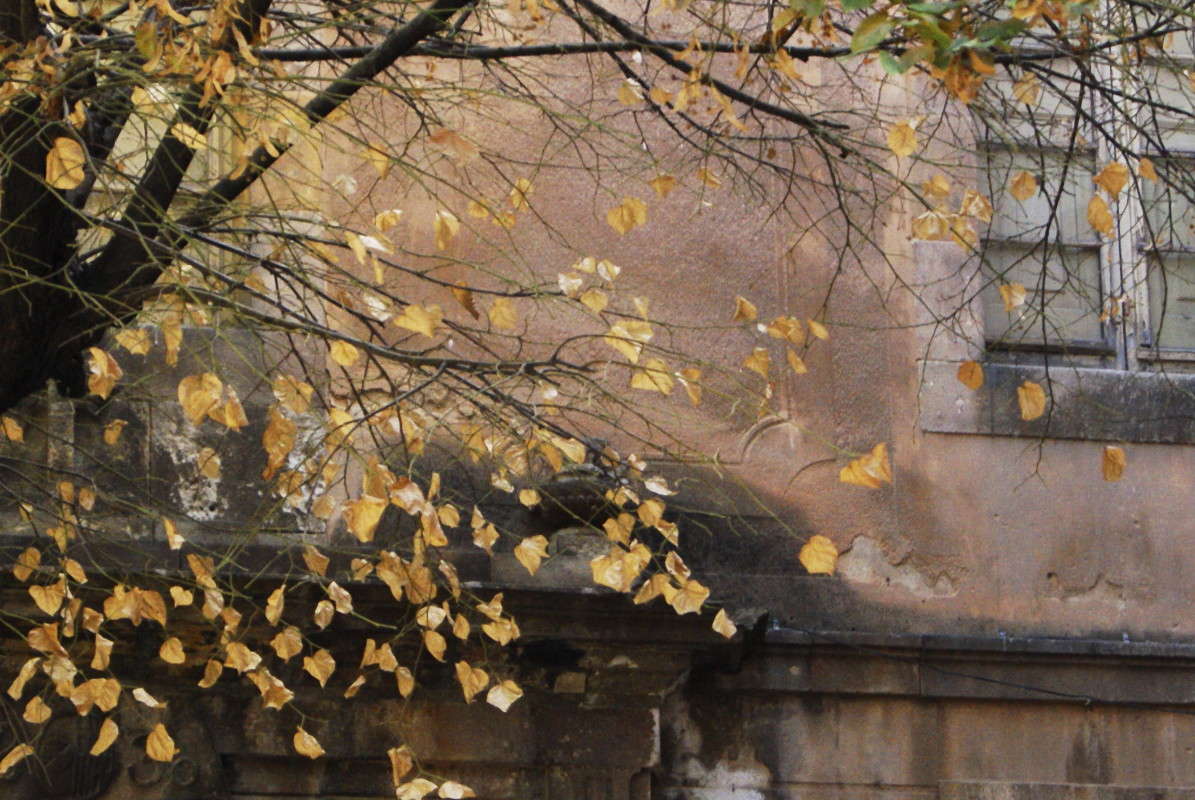 ... ����� ElenaBuligina  �� PhotoGeek.ru #������ ��� �������