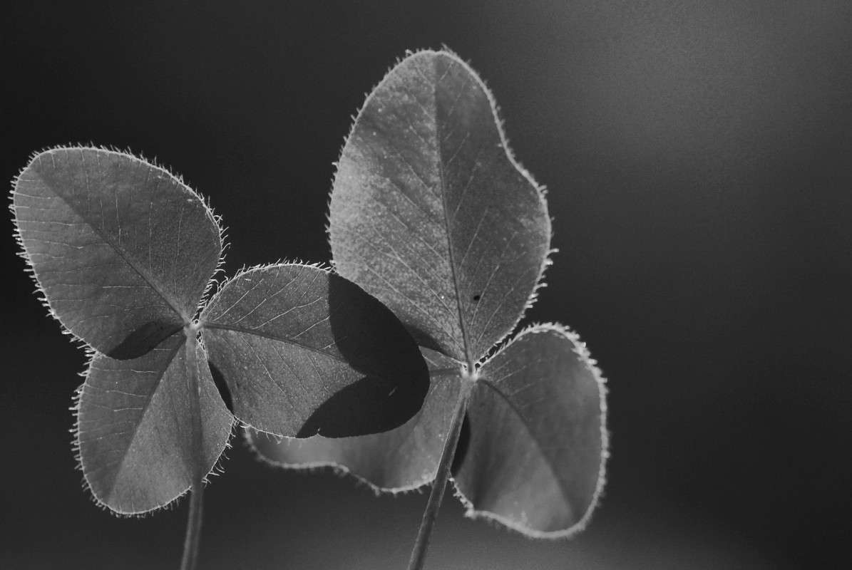 ... ����� ElenaBuligina  �� PhotoGeek.ru #�����