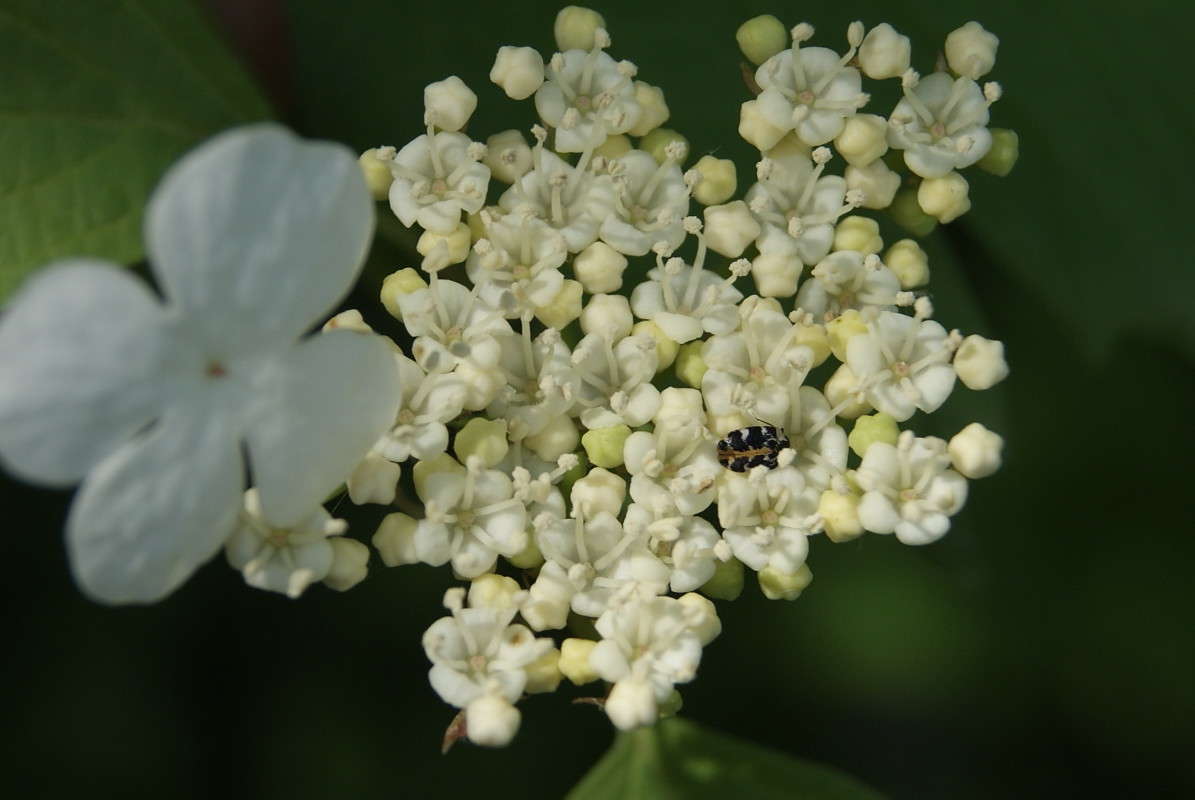 ... ����� ElenaBuligina  �� PhotoGeek.ru #�����