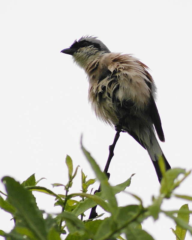 �� ��� �� ���... ����� ElenaBuligina  �� PhotoGeek.ru #�������� ���