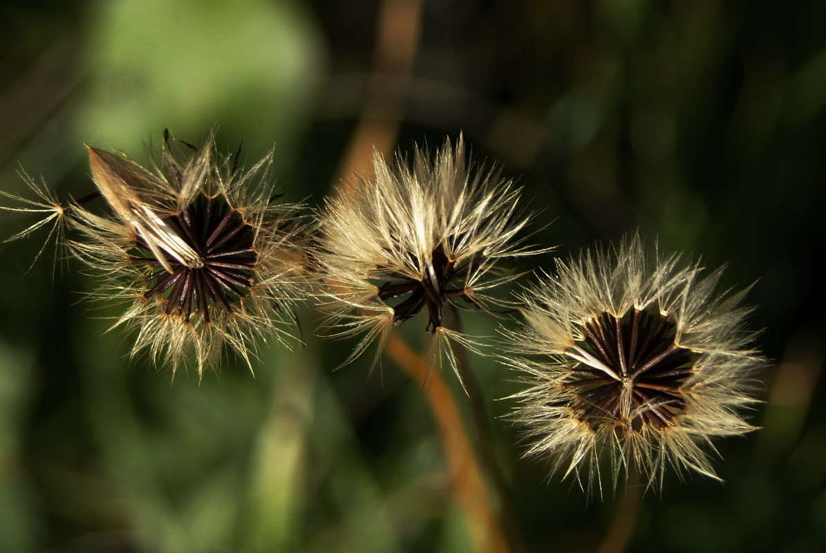 ... ����� ElenaBuligina  �� PhotoGeek.ru #������ ��� �������