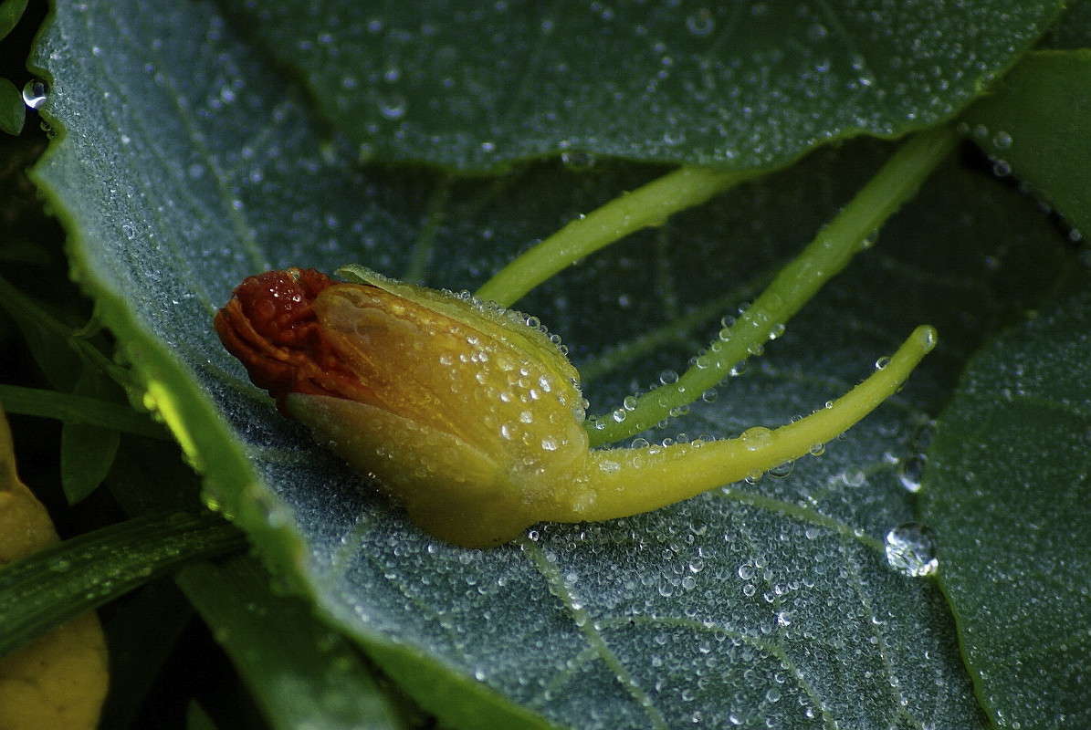 ... ����� ElenaBuligina  �� PhotoGeek.ru #�����