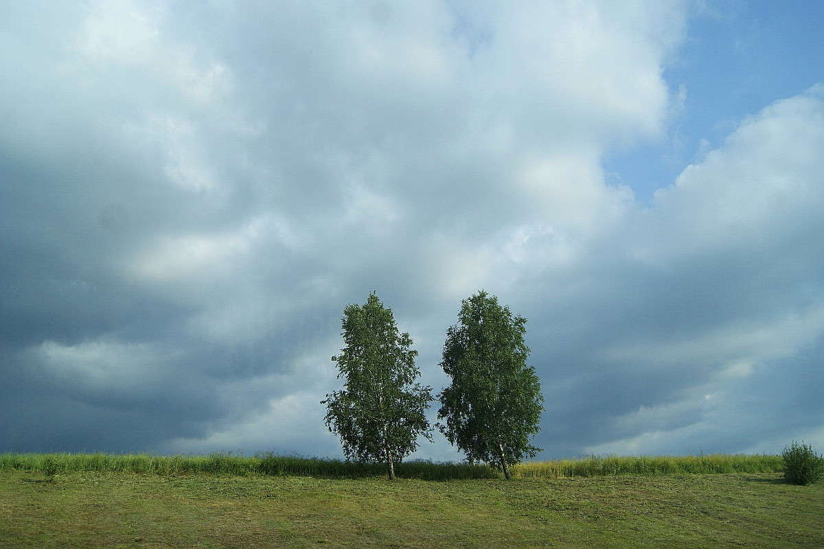 ... ����� ElenaBuligina  �� PhotoGeek.ru #������ ��� �������