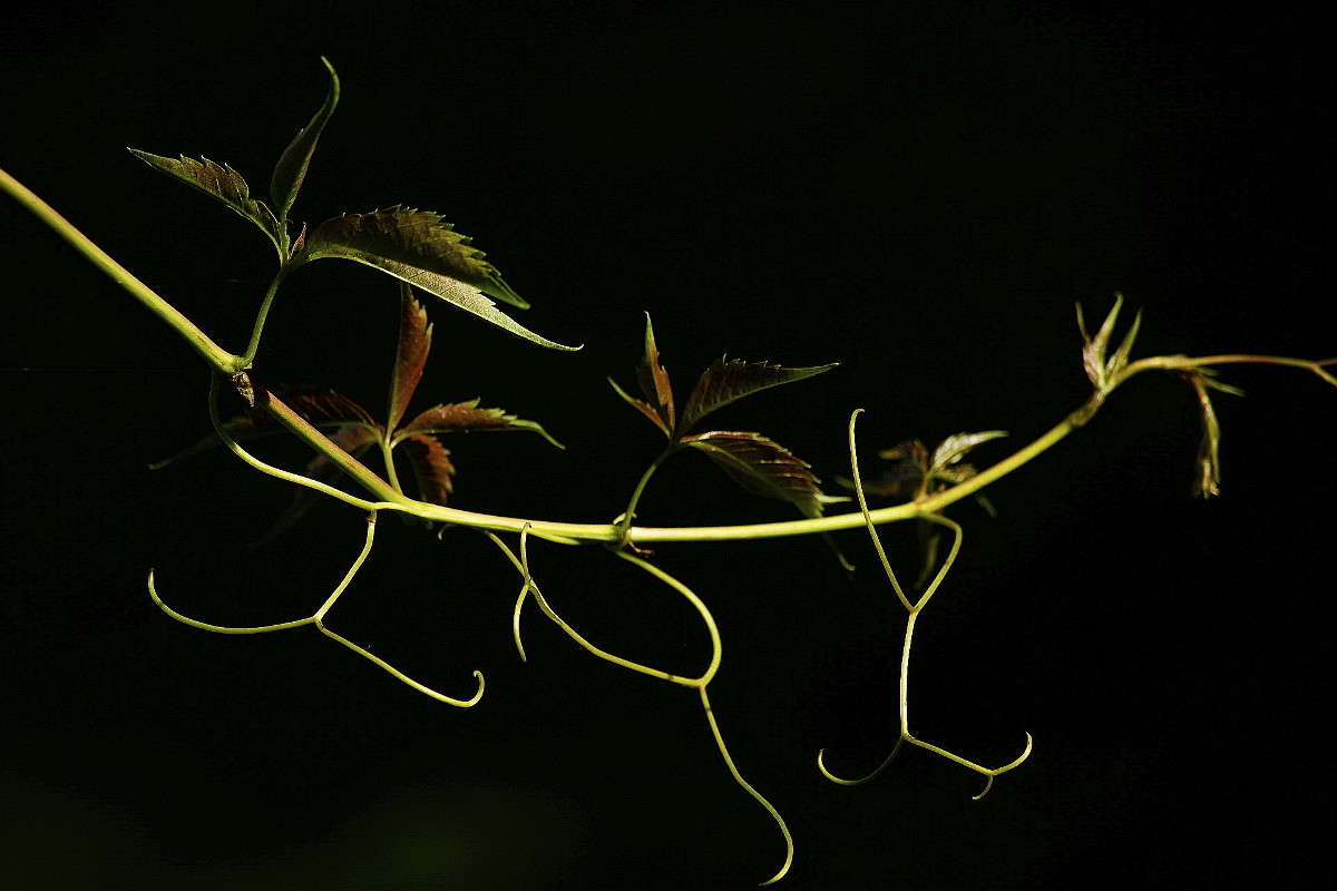 ... ����� ElenaBuligina  �� PhotoGeek.ru #������ ��� �������