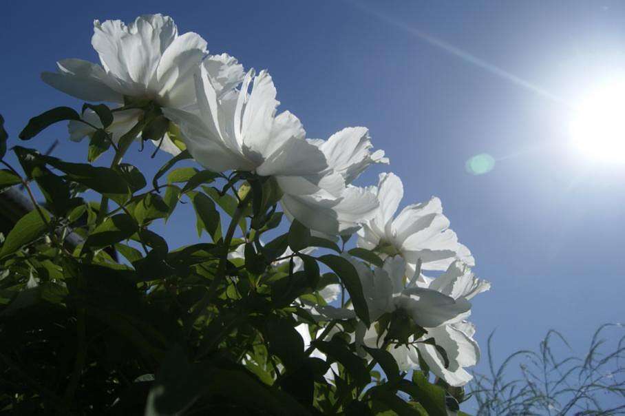 ... ����� ElenaBuligina  �� PhotoGeek.ru #������ ��� �������