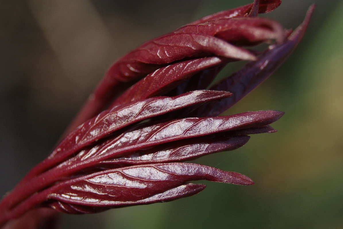 ... ����� ElenaBuligina  �� PhotoGeek.ru #������ ��� �������