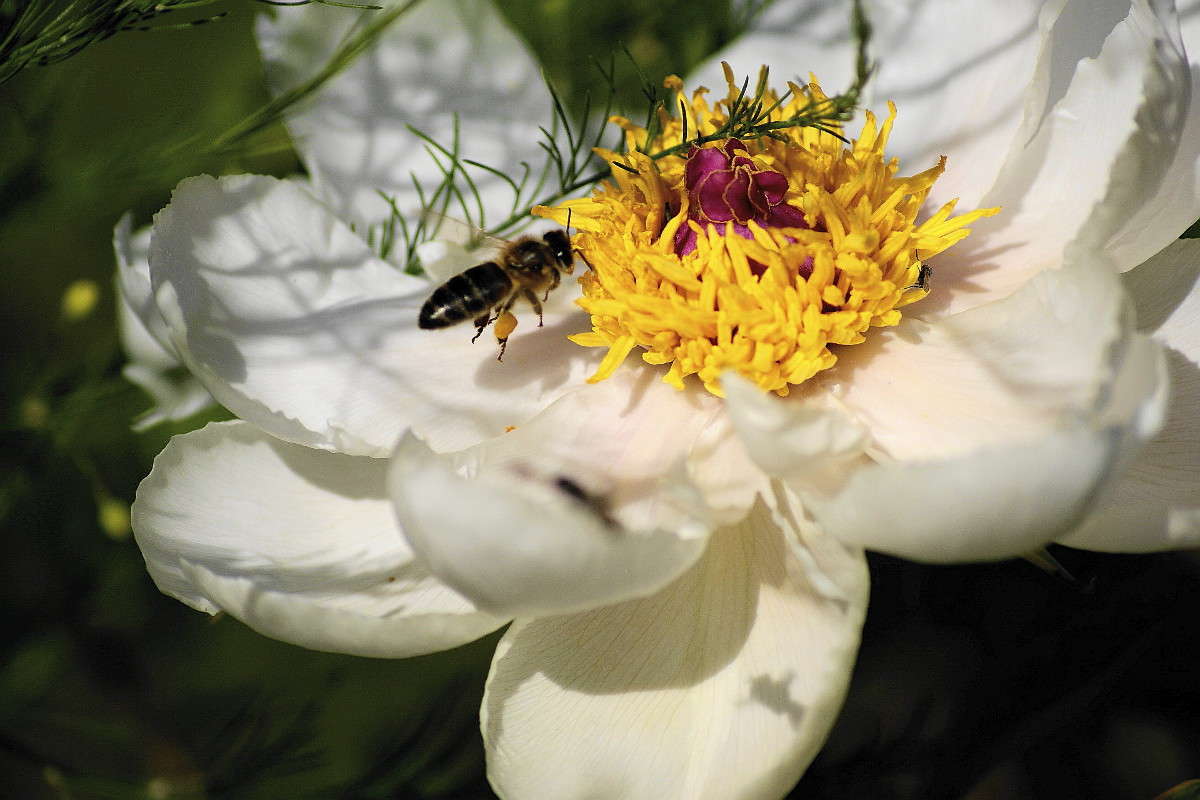 ... ����� ElenaBuligina  �� PhotoGeek.ru #������ ��� �������