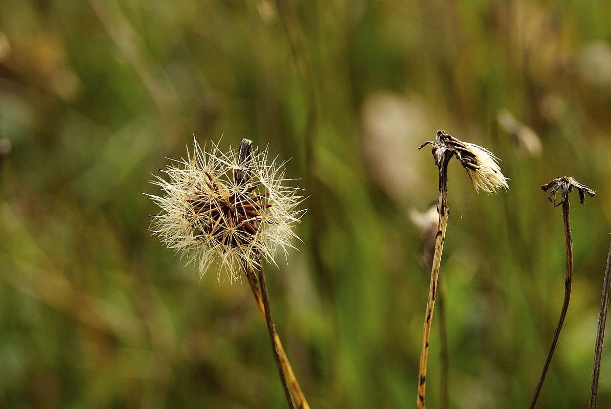 ... ����� ElenaBuligina  �� PhotoGeek.ru #������ ��� �������