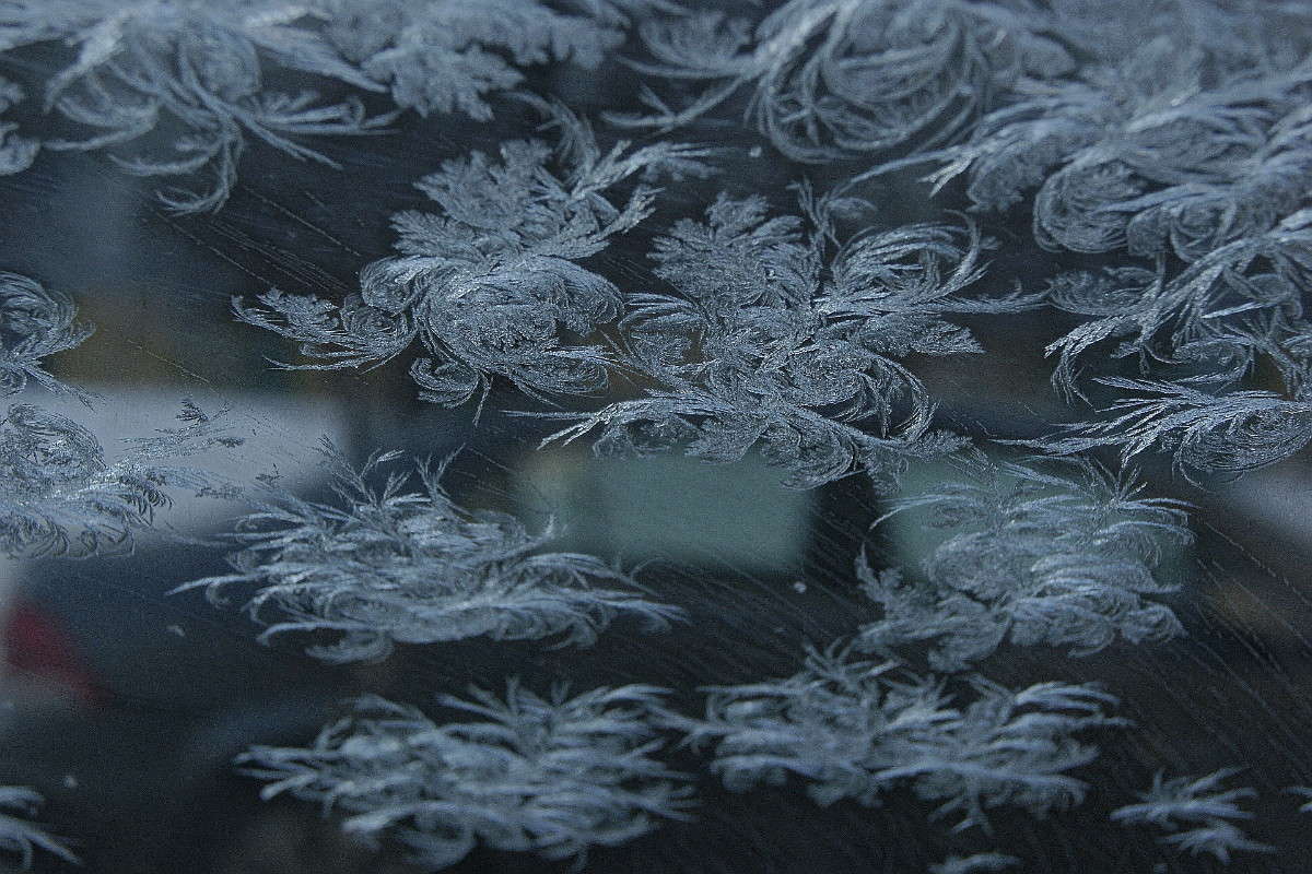 �������� ����� ����� ElenaBuligina  �� PhotoGeek.ru #������ ��� �������