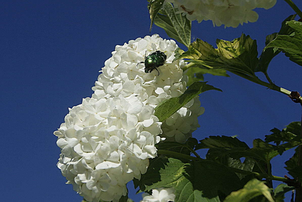 ... ����� ElenaBuligina  �� PhotoGeek.ru #������ ��� �������