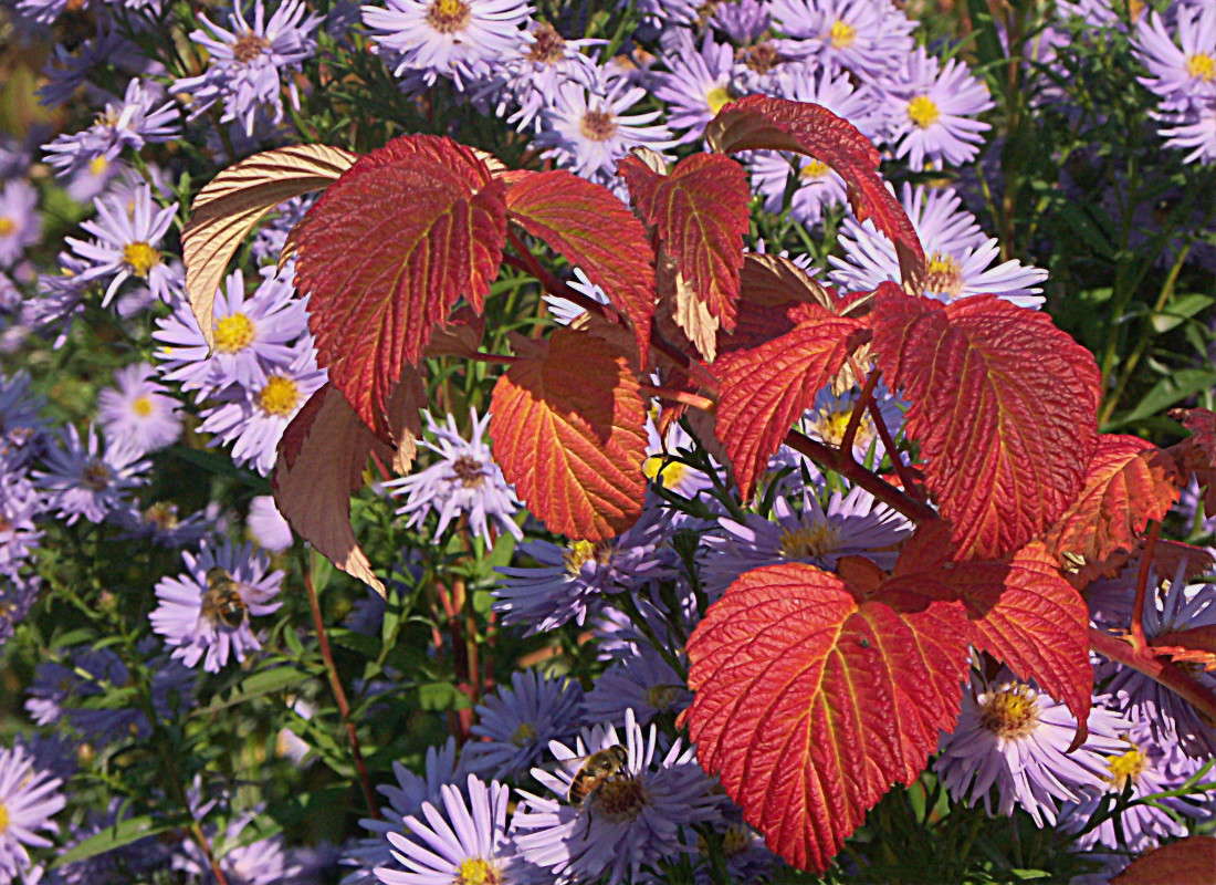 ... ����� ElenaBuligina  �� PhotoGeek.ru #������ ��� �������