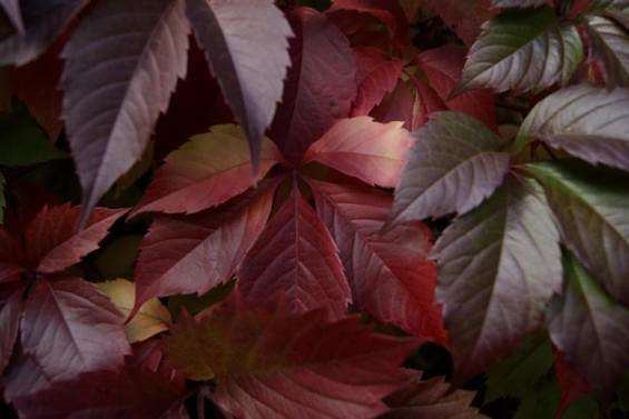 ... ����� ElenaBuligina  �� PhotoGeek.ru #������ ��� �������