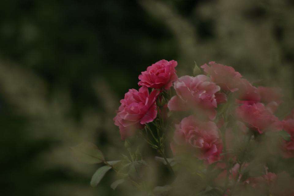 ... ����� ElenaBuligina  �� PhotoGeek.ru #������ ��� �������