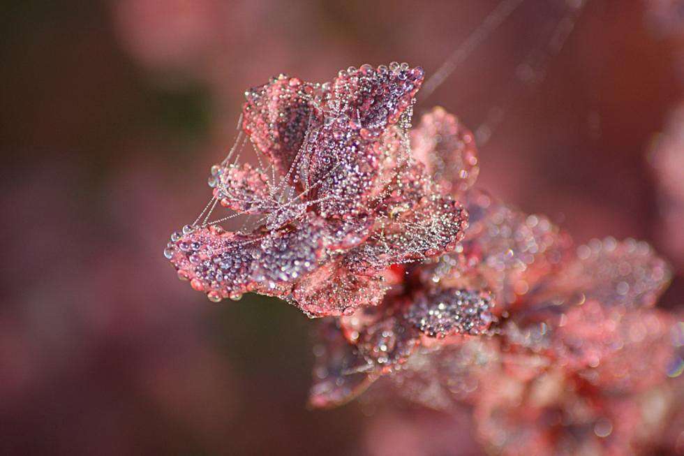 �������... ����� ElenaBuligina  �� PhotoGeek.ru #�����