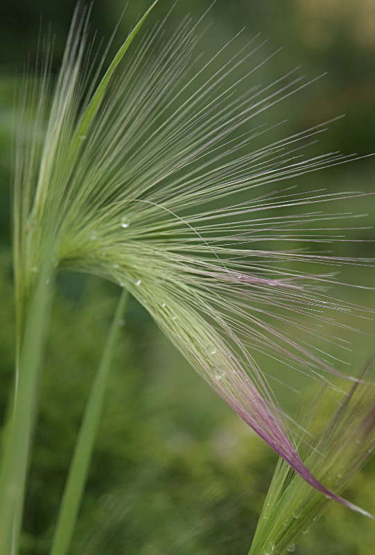 ������ �������� 1 ����� ElenaBuligina  �� PhotoGeek.ru #������ ��� �������