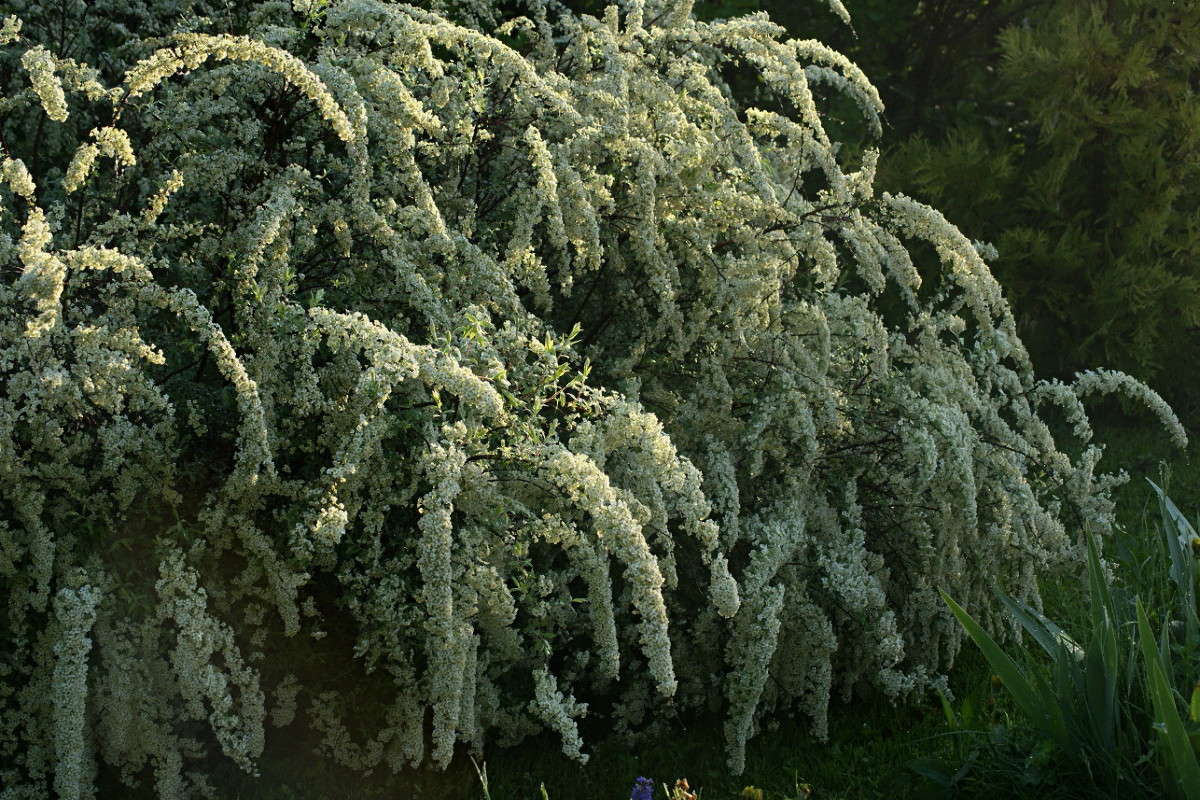 ������ ����� ElenaBuligina  �� PhotoGeek.ru #������ ��� �������