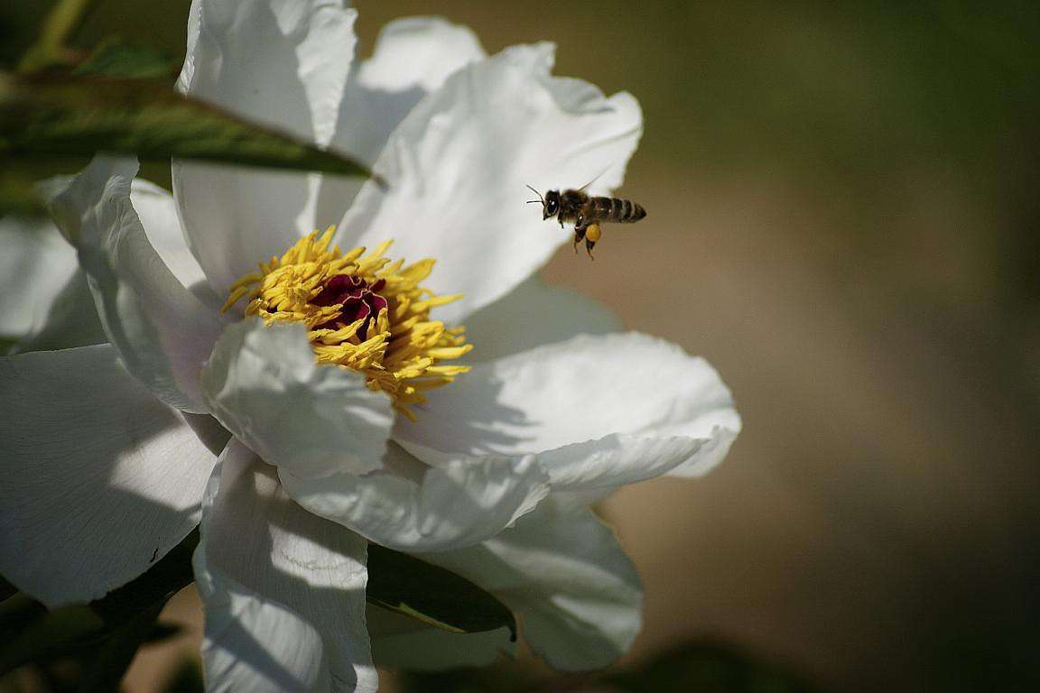 ... ����� ElenaBuligina  �� PhotoGeek.ru #�����