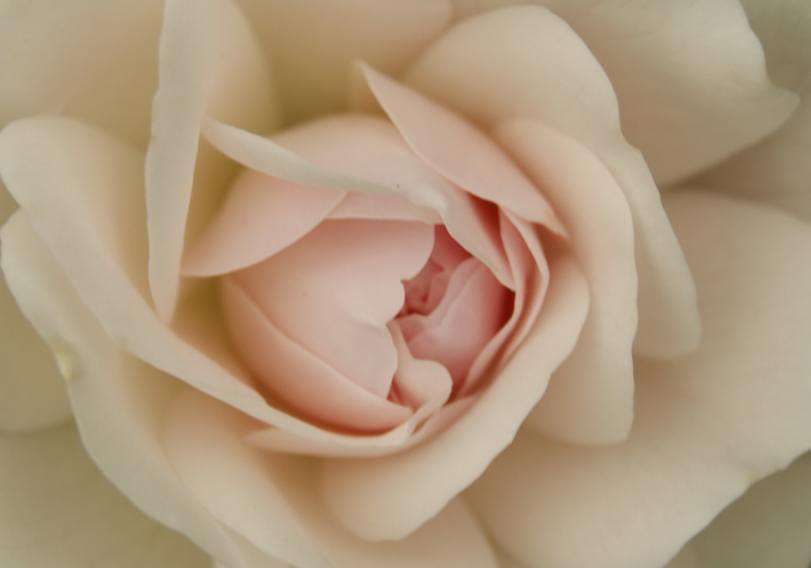 ... ����� ElenaBuligina  �� PhotoGeek.ru #�����