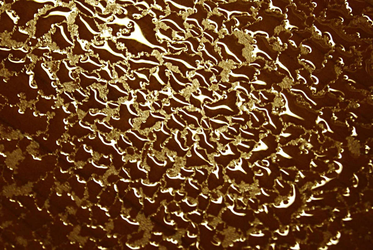 ���� ������� ����� ElenaBuligina  �� PhotoGeek.ru #�����