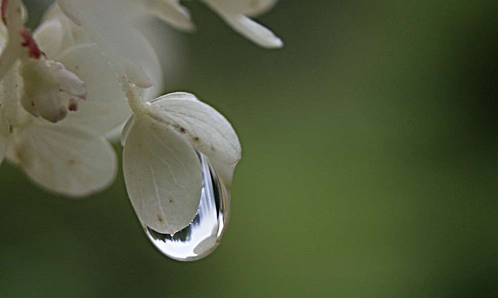 ������� � ���� ��� � �������.... ����� ElenaBuligina  �� PhotoGeek.ru #�����