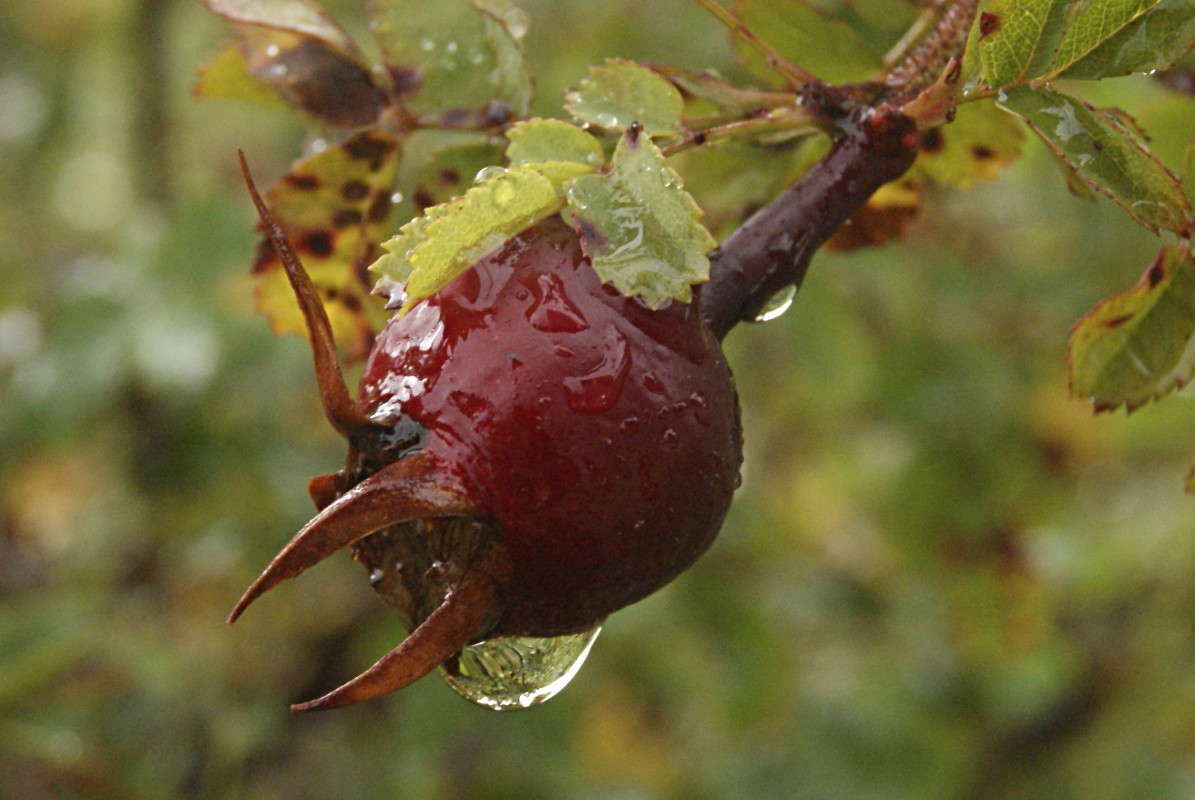 ... ����� ElenaBuligina  �� PhotoGeek.ru #�����