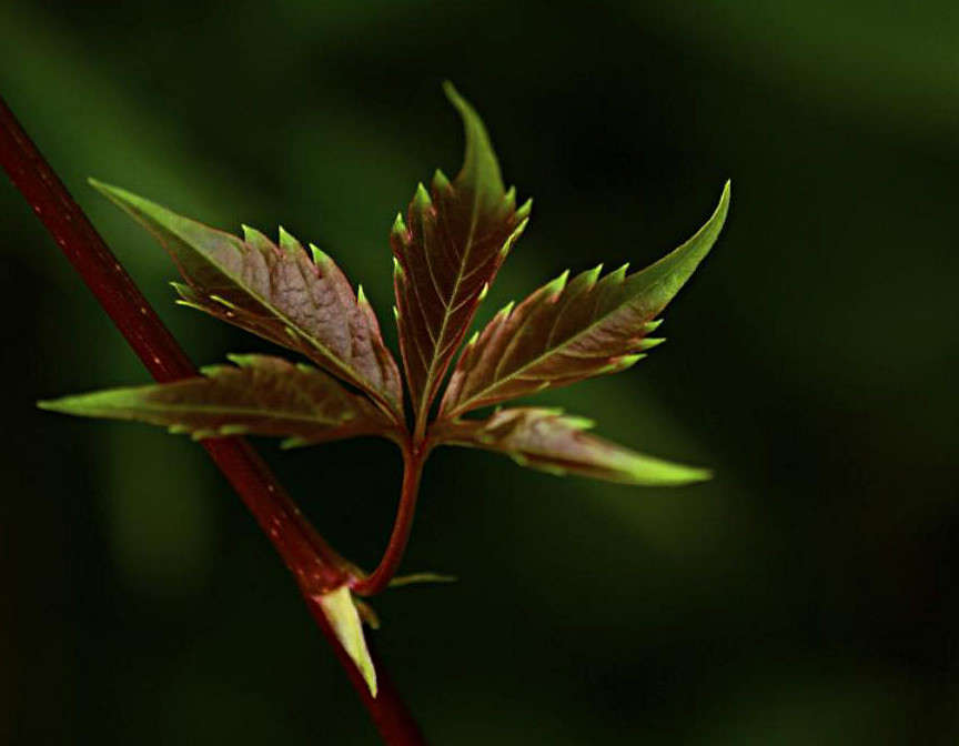 ... ����� ElenaBuligina  �� PhotoGeek.ru #������ ��� �������