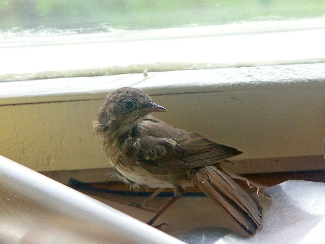 �������� ����� ����� ElenaBuligina  �� PhotoGeek.ru #�������� ���