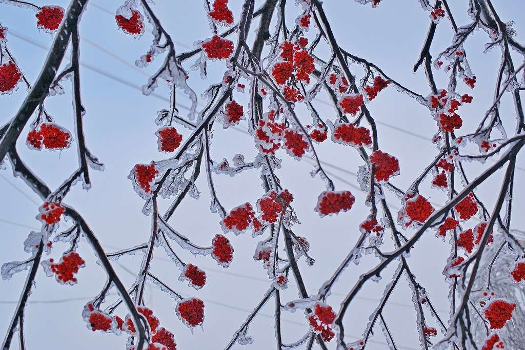������ � ������ ����� ElenaBuligina  �� PhotoGeek.ru #������ ��� �������