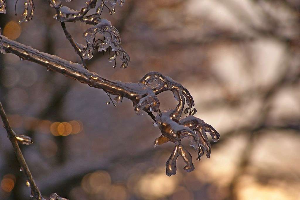 ... ����� ElenaBuligina  �� PhotoGeek.ru #�����