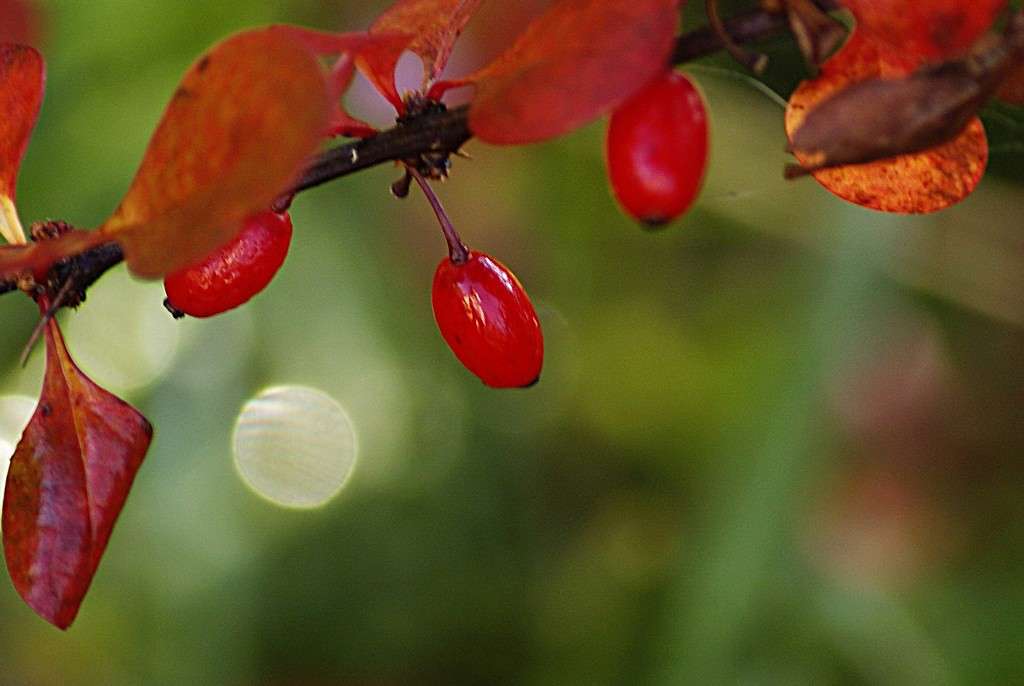 ��������� ����� ����� ElenaBuligina  �� PhotoGeek.ru #�����