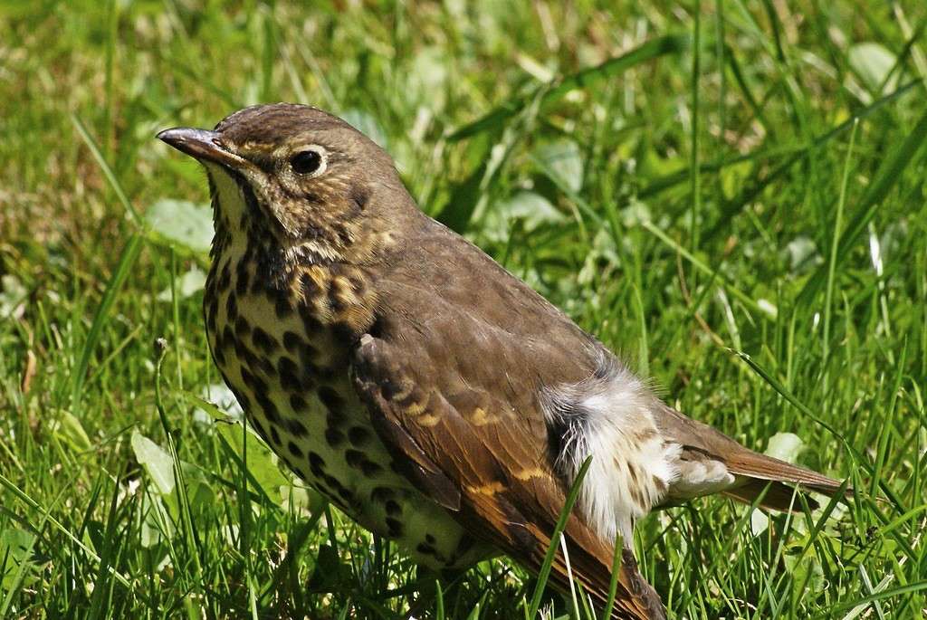 ������� ����� ElenaBuligina  �� PhotoGeek.ru #�������� ���