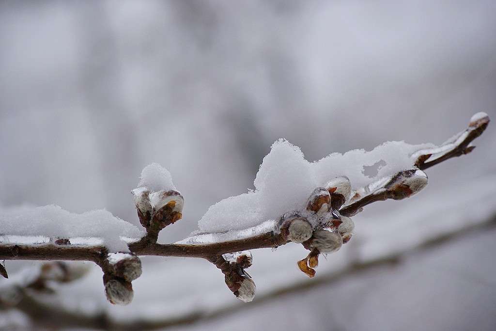 ��������� ����� ElenaBuligina  �� PhotoGeek.ru #������ ��� �������