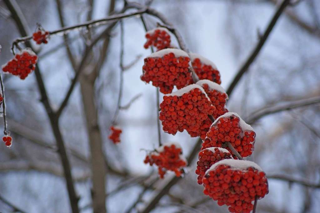 ��������� ������� ����� ElenaBuligina  �� PhotoGeek.ru #������ ��� �������