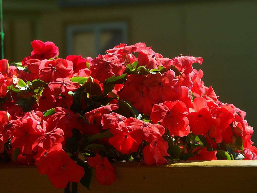 ���������� ����� ElenaBuligina  �� PhotoGeek.ru #������ ��� �������
