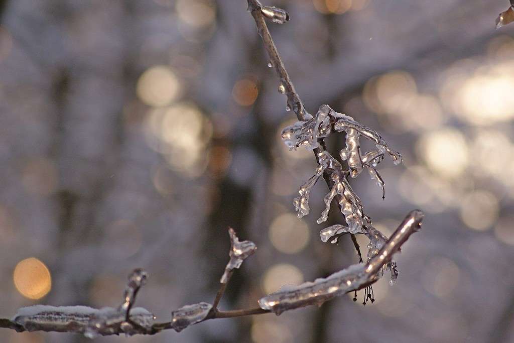 ���� � ���� ���������... ����� ElenaBuligina  �� PhotoGeek.ru #�����