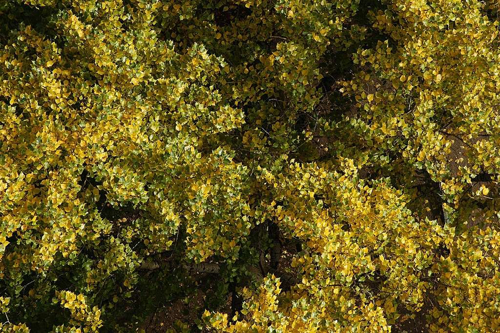�������  �� ����� �����... ����� ElenaBuligina  �� PhotoGeek.ru #������ ��� �������