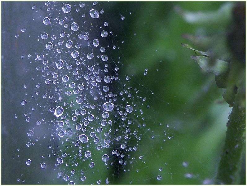 ... ����� ElenaBuligina  �� PhotoGeek.ru #����� #������ ��� �������