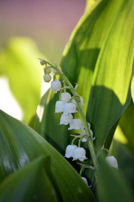 ������ ����� ������� �������� �� PhotoGeek.ru #�����