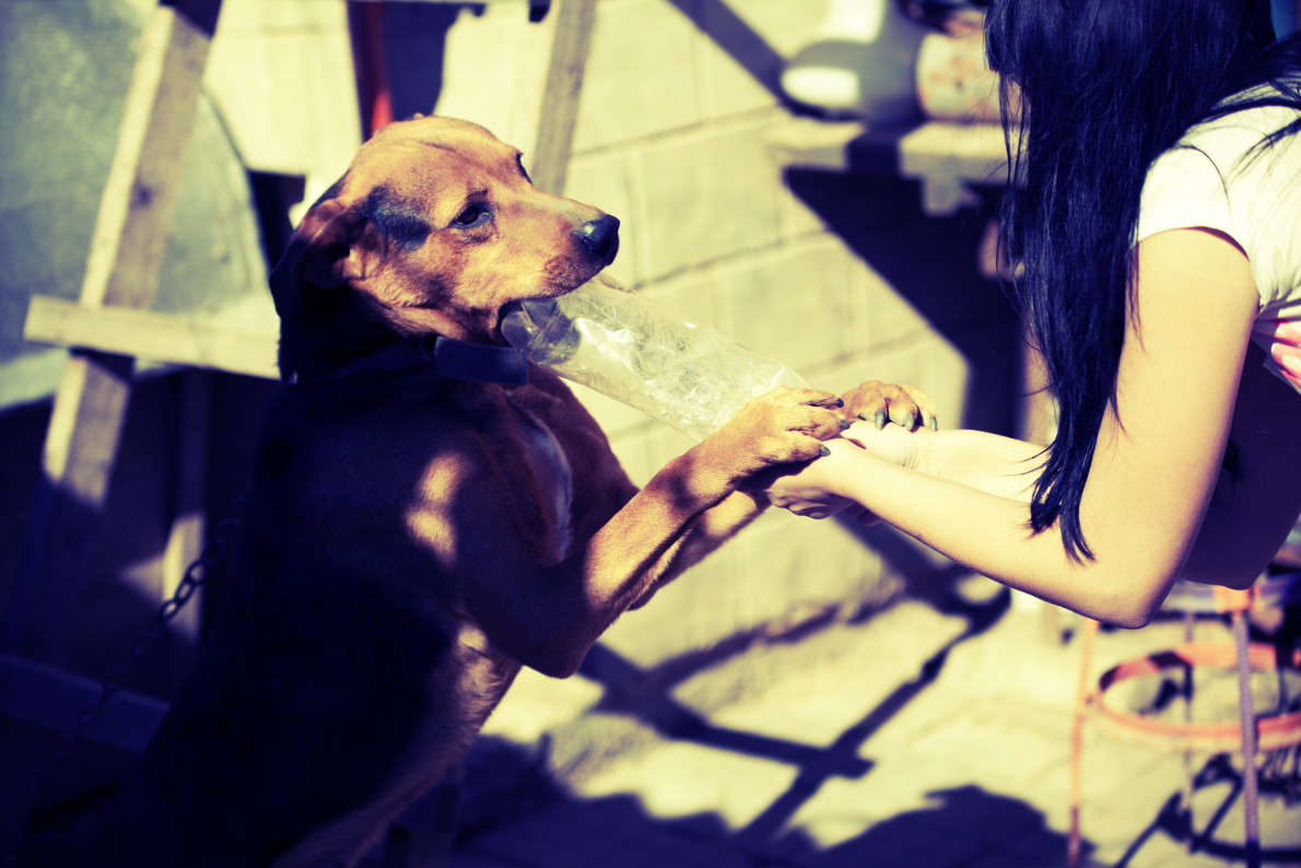 ������� ����� ������  �� PhotoGeek.ru #�������� ���